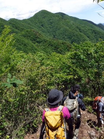 2019.6.16 笹子雁ヶ腹山(尾根歩き)