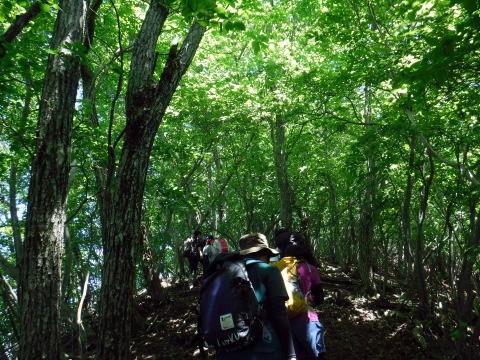 2019.6.16 笹子雁ヶ腹山(尾根歩き)