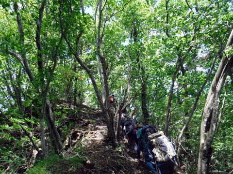 2019.6.16 笹子雁ヶ腹山(尾根歩き)