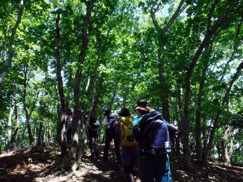 2019.6.16 笹子雁ヶ腹山(尾根歩き)