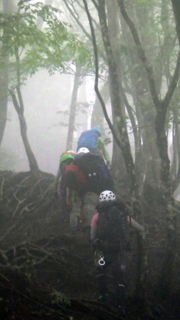 2019.6.22 マスキ嵐沢(沢登り)