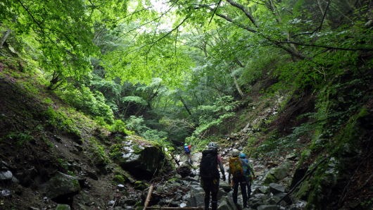 2019.6.22 マスキ嵐沢(沢登り)