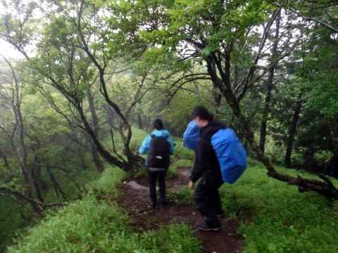 2019.6.30　丹沢懸垂岩（岩トレ）