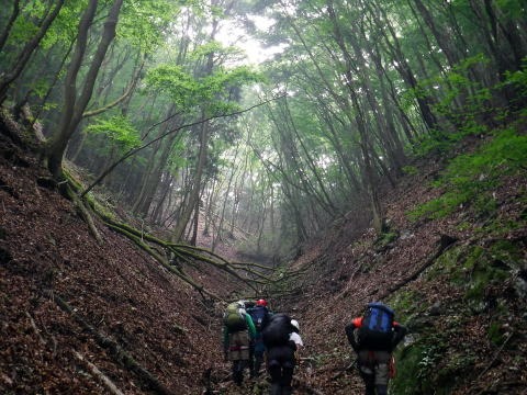 2019.7.21 軍刀利沢(沢登り)
