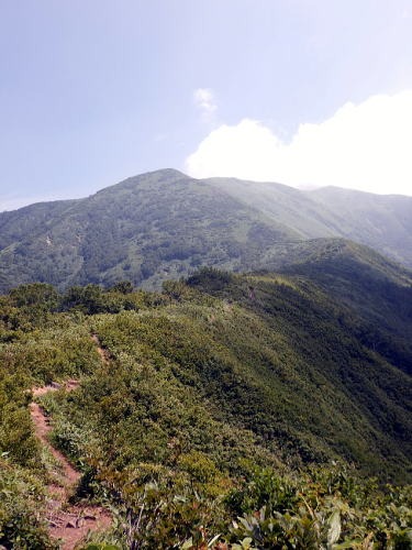 2019.8.4　平標山（尾根歩き）