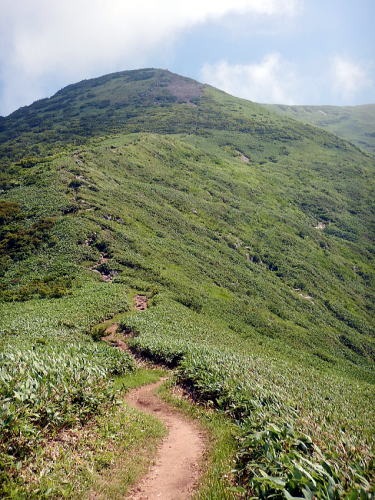2019.8.4　平標山（尾根歩き）