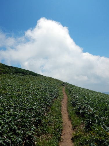 2019.8.4　平標山（尾根歩き）