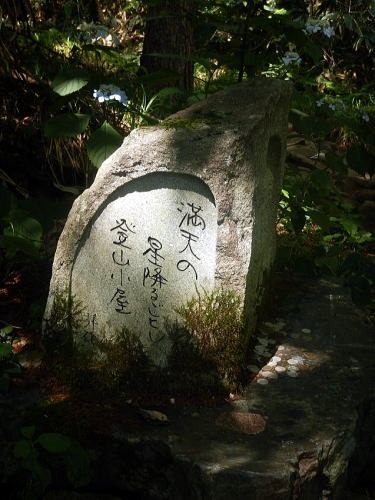 2019.8.4　平標山（尾根歩き）