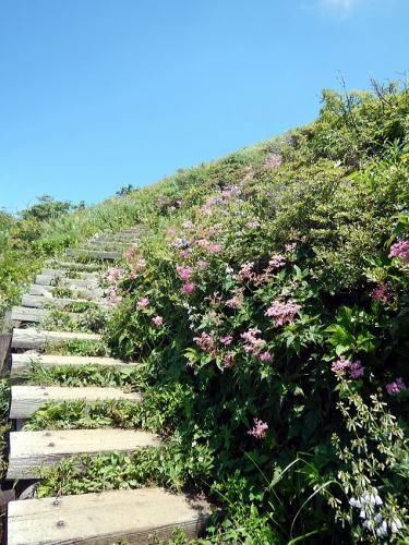 2019.8.4　平標山（尾根歩き）