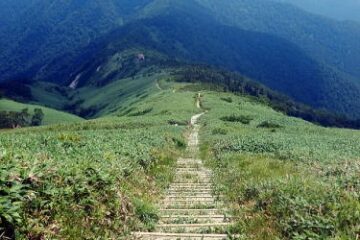 2019.8.4　平標山（尾根歩き）