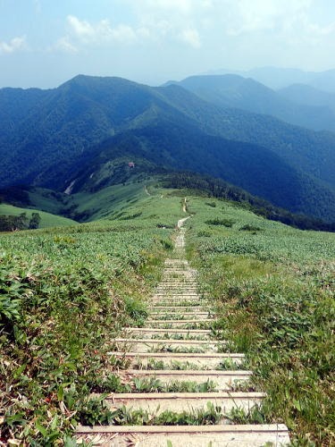 2019.8.4　平標山（尾根歩き）