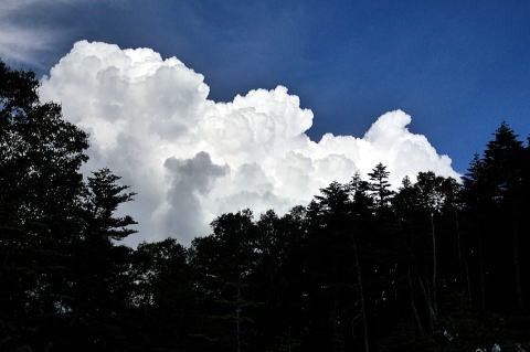 2019.8.6-9 赤石岳(尾根歩き)