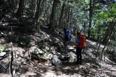 2019.8.6-9 赤石岳(尾根歩き)