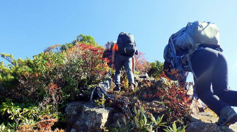 2023.10-14-15　越後駒ケ岳（尾根歩き）