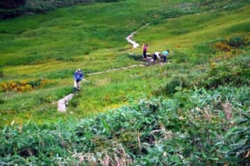 2019.8.11-14　大深沢（沢登り）