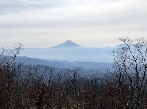 2019.2.24　茅ヶ岳（尾根歩き）