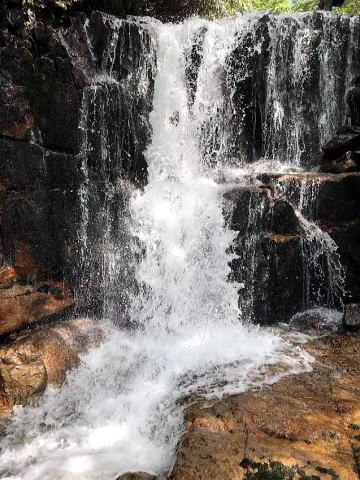 2019.8.31-9.1中ノ岐沢（沢登り）