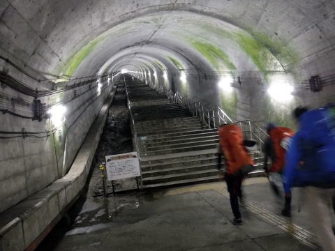 2019.9.14-15 ナルミズ沢(尾根歩き)