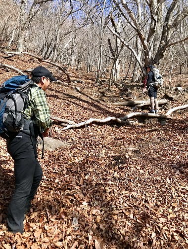2019.2.24　茅ヶ岳（尾根歩き）