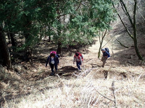 2019.3.2　三ノ塔（尾根歩き）