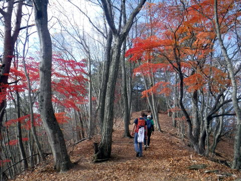 2023.11.23　扇山（尾根歩き）