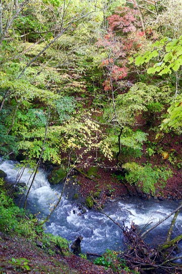2019.10.19-21 霞沢岳(尾根歩き)