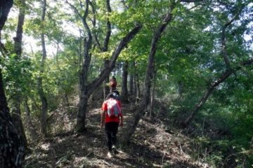2019.9.29　高柄山（尾根歩き）