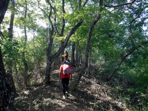 2019.9.29　高柄山（尾根歩き）