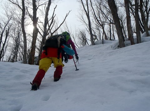 2019.3.3　柄沢山（雪山）