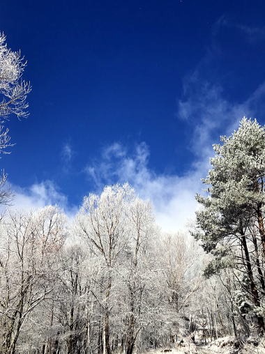 2019.11.29　乾徳山（雪山）