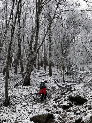 2019.11.29　乾徳山（雪山）