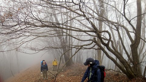 2019.12.21鷹ノ巣山（尾根歩き）