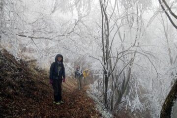 2019.12.21鷹ノ巣山（尾根歩き）