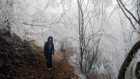 2019.12.21鷹ノ巣山（尾根歩き）