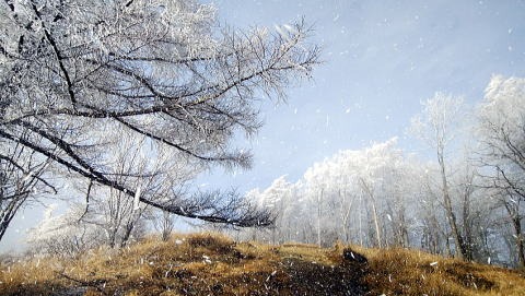 2019.12.21鷹ノ巣山（尾根歩き）
