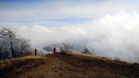 2019.12.21鷹ノ巣山（尾根歩き）