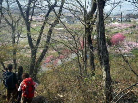 2023.4.1 ナットウ箱山(尾根歩き・イベント)