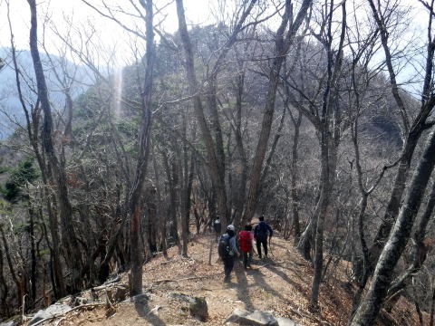 2023.4.1 ナットウ箱山(尾根歩き・イベント)