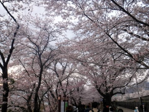 2023.4.1 ナットウ箱山(尾根歩き・イベント)