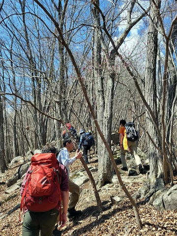 2023.4.1 ナットウ箱山(尾根歩き・イベント)