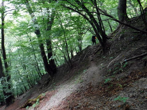 2021.7.24-25　真ノ沢（沢登り）