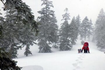 2023.4.8-9　会津駒ケ岳（雪山）