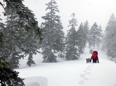 2023.4.8-9　会津駒ケ岳（雪山）