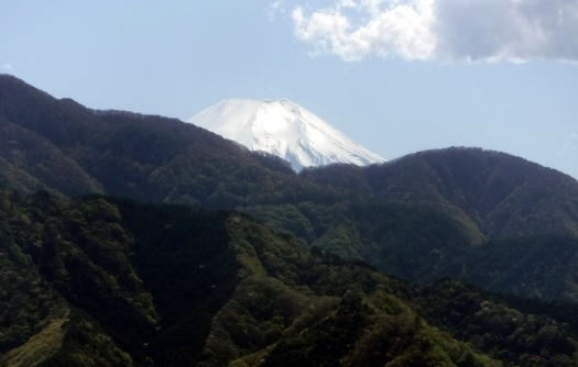 2023.4.16 二十六夜山(尾根歩き)