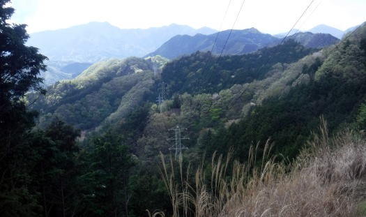 2023.4.16 二十六夜山(尾根歩き)
