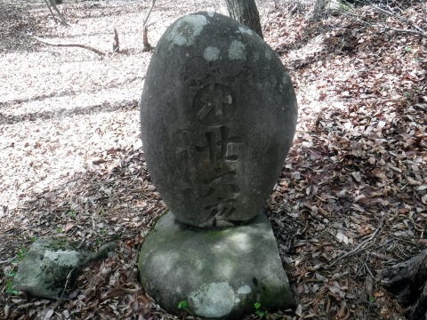 2023.4.16 二十六夜山(尾根歩き)