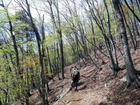 2023.4.16 二十六夜山(尾根歩き)