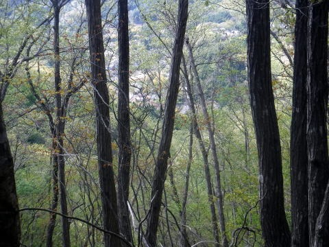 2023.4.16 二十六夜山(尾根歩き)