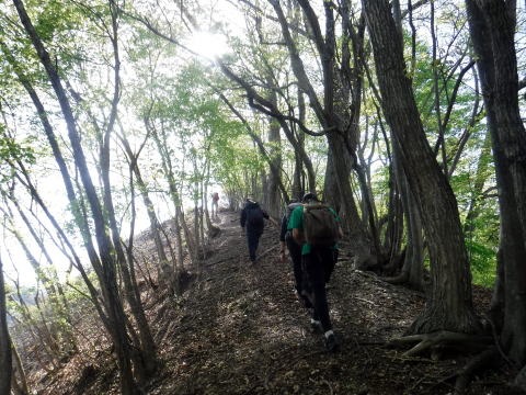 2023.4.16 二十六夜山(尾根歩き)