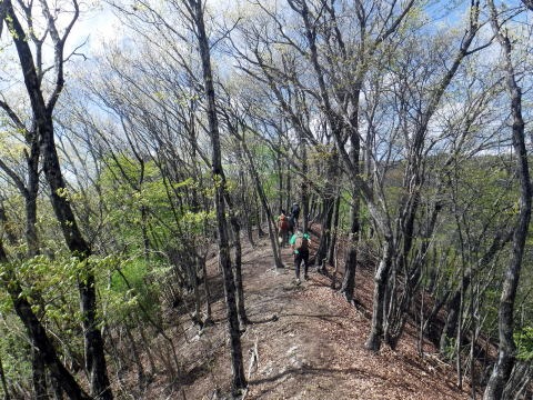 2023.4.16 二十六夜山(尾根歩き)